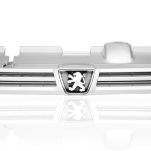  Front window of Peugeot 405
