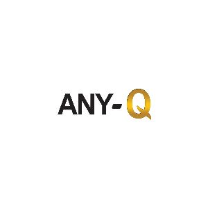 ANY-Q