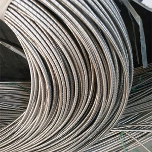 Stainless steel armor wire core