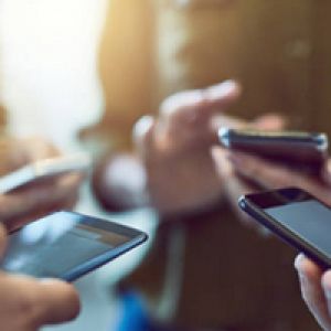 Cellular Sector