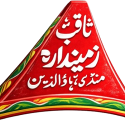 Saqib Zamindara Agro & Engineering Works