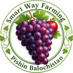 SMART WAY FARMING (SMC-Private Limited)